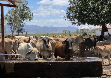 Sistema de bombeo solar para el suministro de agua al ganado
