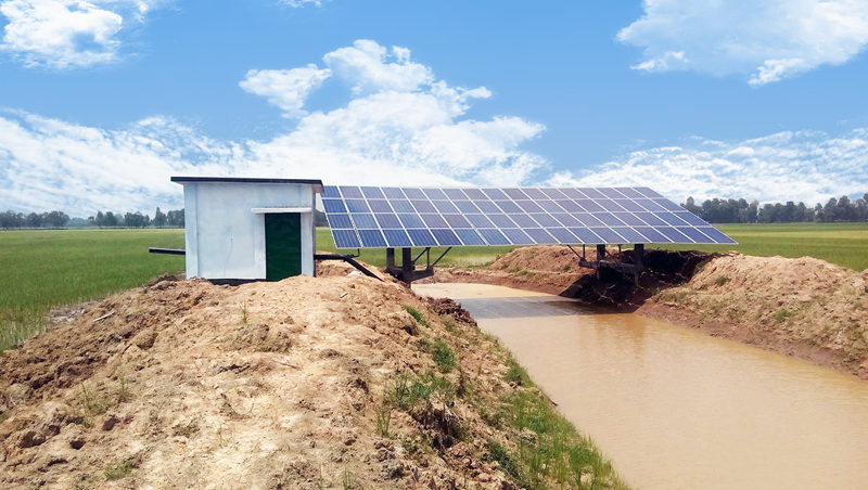 FACILITE EL RIEGO CON LA BOMBA DE AGUA SOLAR JNTECH