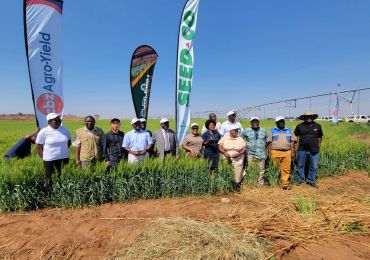 Se inauguró oficialmente el proyecto de generación de energía solar y bombeo de agua para riego en Wanjin, impulsando el desarrollo agrícola en Zimbabue.