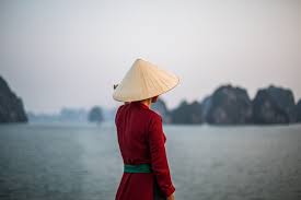 Vietnam reduce los subsidios a las tarifas de alimentación para sistemas fotovoltaicos en tejados