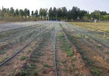Proyecto de demostración de riego de tierras agrícolas en el norte de Shaanxi
